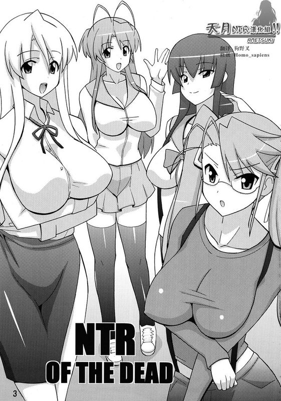 NTR OF THE DEAD (学園黙示録 HIGHSCHOOL OF THE DEAD)-幻想世界