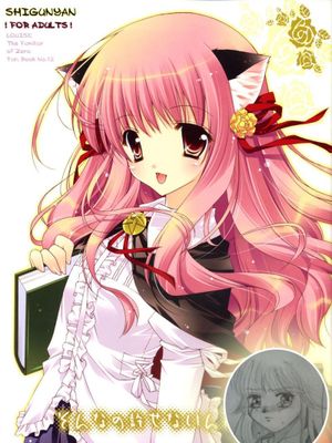 そんなの許せないんだから！ (ゼロの使い魔)-幻想世界