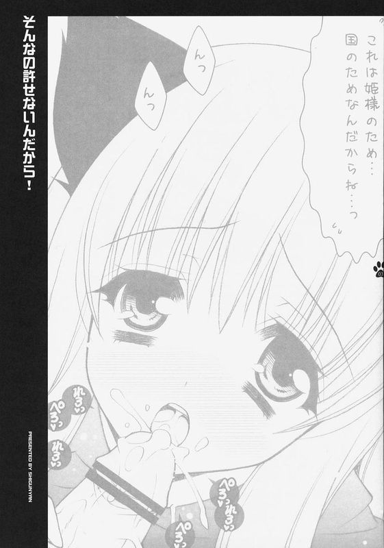 そんなの許せないんだから！ (ゼロの使い魔)-幻想世界