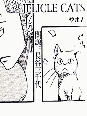 JELICLE CATS-幻想世界