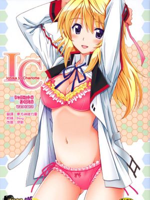 シャルロットのおくりもの (Infinite Stratos) - 幻想世界-在线漫画论坛-漫画-幻想世界