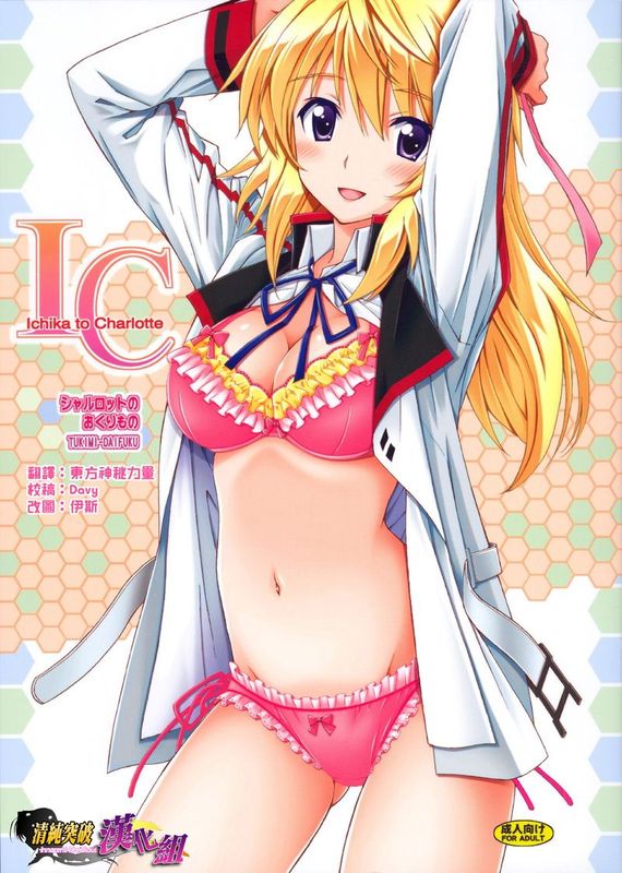 シャルロットのおくりもの (Infinite Stratos)-幻想世界