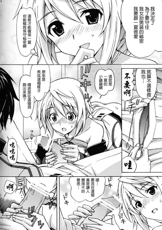 シャルロットのおくりもの (Infinite Stratos)-幻想世界