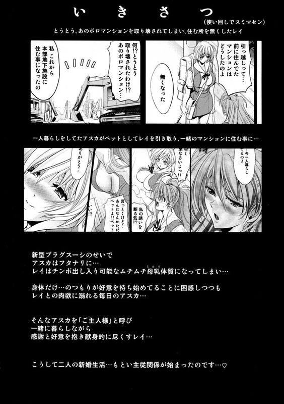(C83) [瓦屋本舗 (瓦屋A太)] PRINCESS AND THE SLAVE (新世紀エヴァンゲリオン)-幻想世界