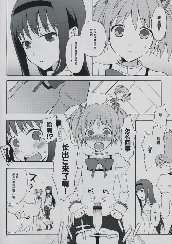 (サンクリ50) (同人誌) [ああ愛してる] まどか★ほむらwithたそがれキュゥべぇ (魔法少女まどか☆マギカ) [空気系汉化]-幻想世界