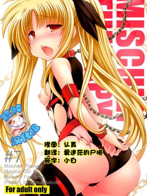 [脸肿汉化组] (C81) [学食亭 (わたのはら)] Mischief Therapy (魔法少女リリカルなのは)-幻想世界