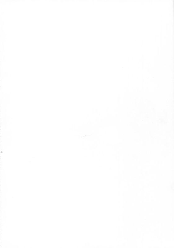 [3 colors cat]BRILLI PRETTY (甘城ブリリアントパーク)-幻想世界