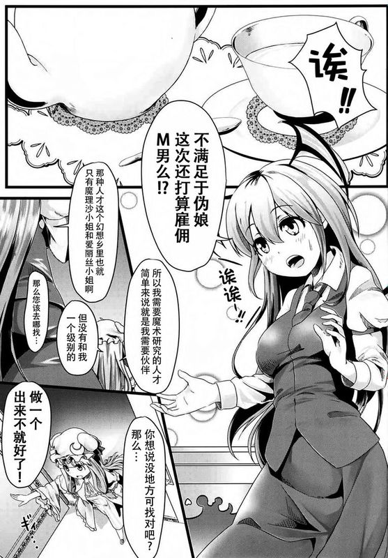 【CE汉化组】(秋季例大祭2) [FSS (椎名エクセル)] Aphrodisiac Pickled Homunculus (東方Project)-幻想世界