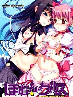 (C80) [あねこの手帖 (小梅けいと)] ほむん★クルス (魔法少女まどか☆マギカ) [中国翻訳]-幻想世界