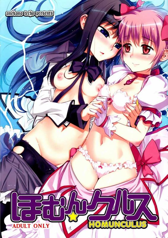 (C80) [あねこの手帖 (小梅けいと)] ほむん★クルス (魔法少女まどか☆マギカ) [中国翻訳]-幻想世界