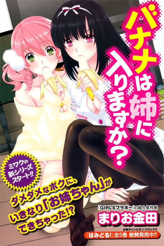 香蕉要进入姐姐身体么？（バナナは姉に入りますか？）-幻想世界