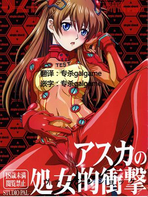 (C78) (STUDIO PAL (南野琴)] アスカの処女的衝撃 (新世紀エヴァンゲリオン) [只为求本汉化]-幻想世界