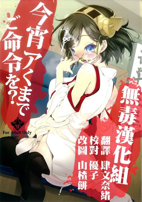 [无毒汉化组] (C85) [ニリツハイハン (ニリツ)] 今宵アくまでご命令を_ (艦隊これくしょん -艦これ-)-幻想世界