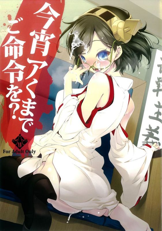 [无毒汉化组] (C85) [ニリツハイハン (ニリツ)] 今宵アくまでご命令を_ (艦隊これくしょん -艦これ-)-幻想世界