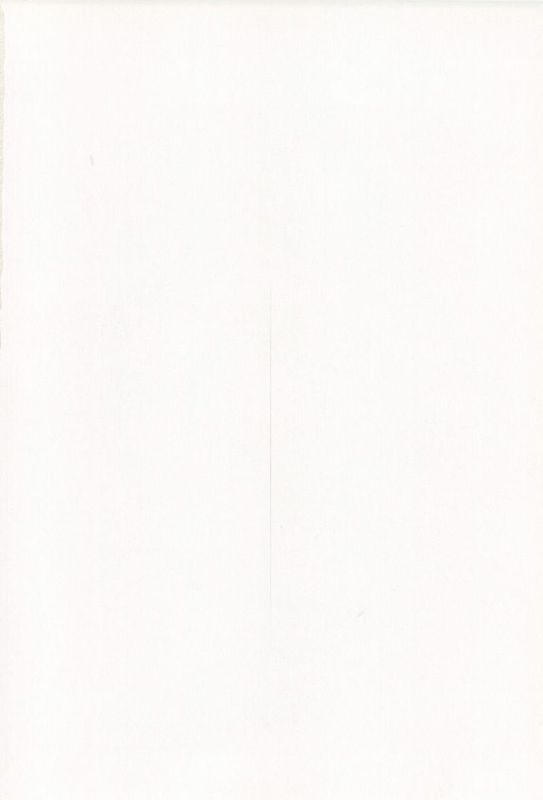 [サイクロン ] F850 (魔法少女リリカルなのは) [脸肿汉化组] (C78)-幻想世界