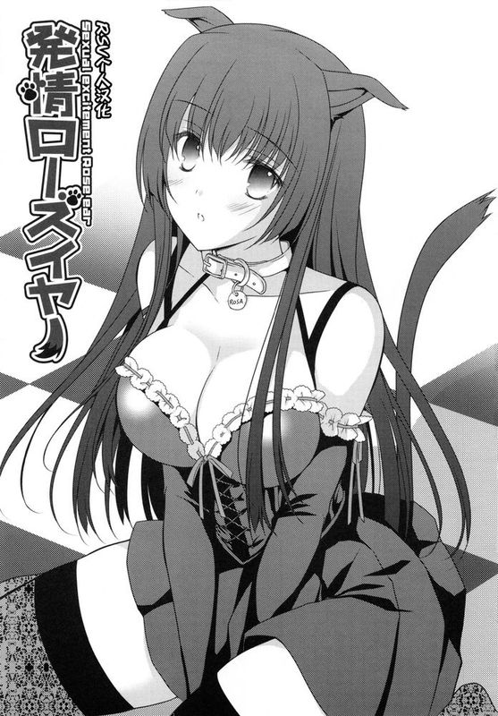 [RSV个人汉化][Louis＆Visee] 発情ローズイヤー-幻想世界