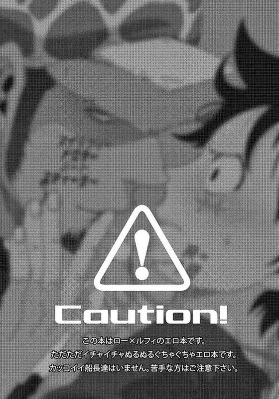 マイラブリードクターハートスティーラー (ONE PIECE)-幻想世界