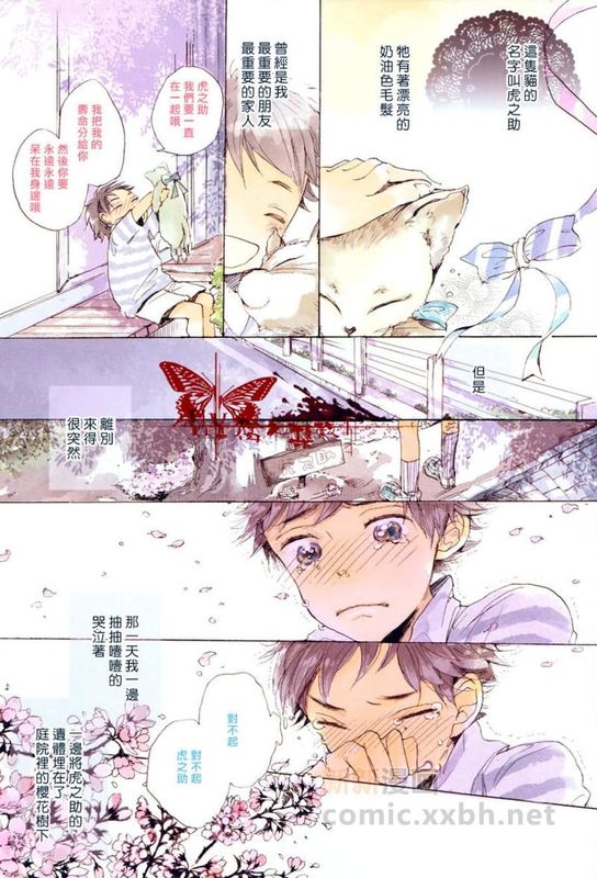 猫新娘驾到-幻想世界