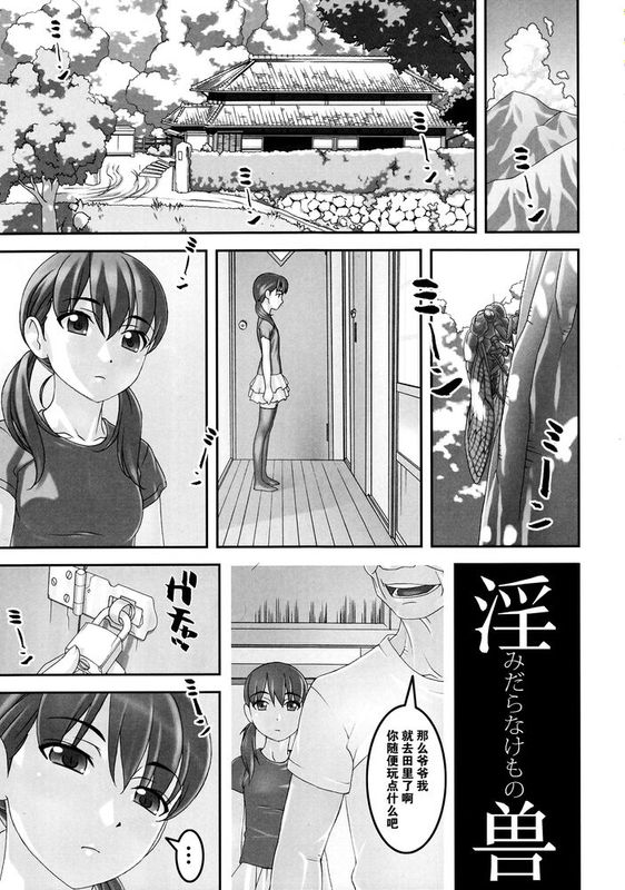 [脸肿汉化组] (C88) [大陸間弾道弾団 (桜ロマ子)] 淫獣～みだらなけもの～-幻想世界