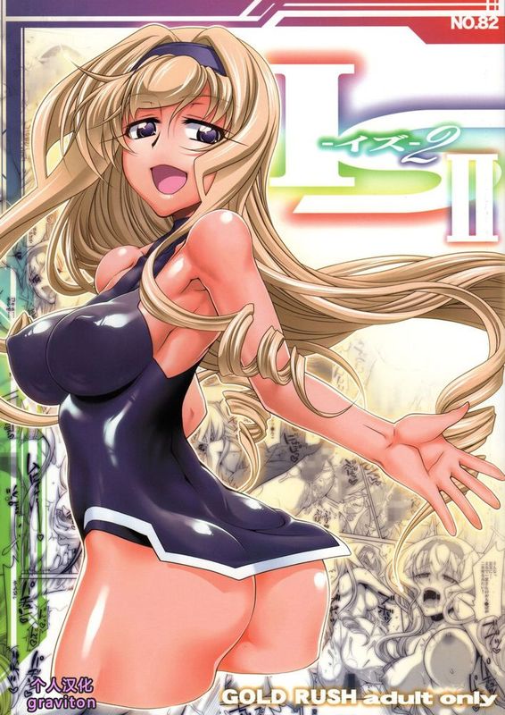 [graviton个人汉化] (C85) [GOLD RUSH (鈴木あどれす)] IS 2 (IS（インフィニット.ストラトス）)-幻想世界