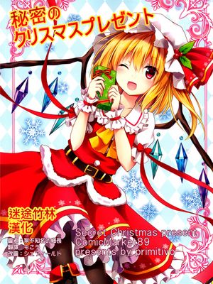 (C89)(同人誌)秘密のクリスマスプレゼント (東方Project)(非エロ)[迷途竹林漢化] - 幻想世界-在线漫画论坛-漫画-幻想世界