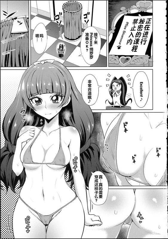 (C89)(同人誌) ナヤメル☆プリンセス (Go!プリンセスプリキュア)[汉化]-幻想世界