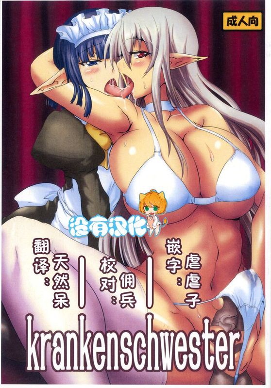 [沒有漢化] (C80) [ひとりようのポット (ぽこちん)] krankenschwester-幻想世界