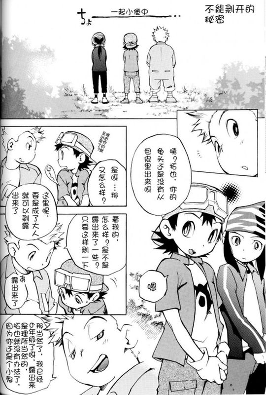 不能剝開的秘密（デジタルモンスター）-幻想世界