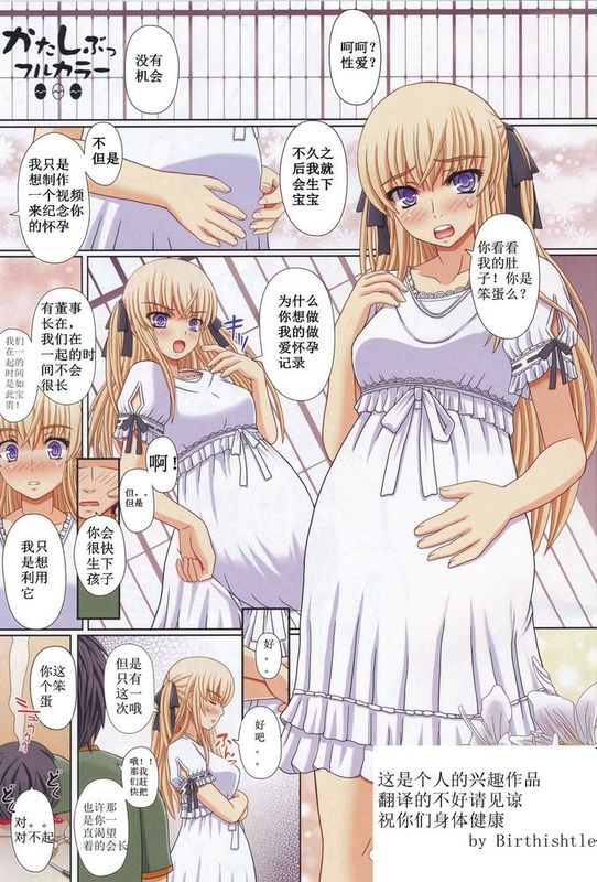 [汉化] (C79) [幸せ共和国 (幸せのかたち)] かたしぶっ フルカラー 35週-幻想世界