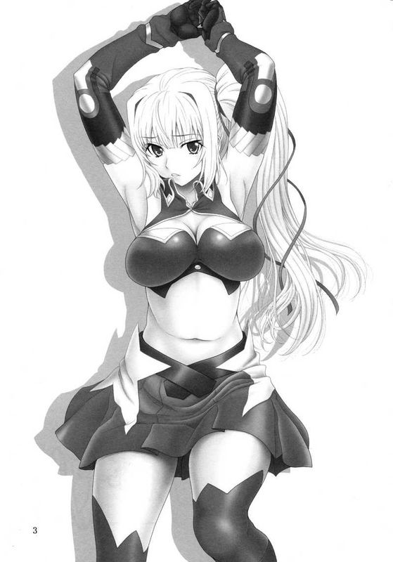 弓は袋に太刀は鞘 (魔弾の王と戦姫)-幻想世界