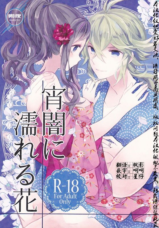 宵闇に濡れる花 (Pokémon Black and White)-幻想世界