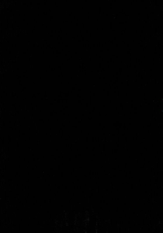 【極東靈魂編輯部漢化】(C89) [Ash Wing (まくろ)] BF IV-幻想世界