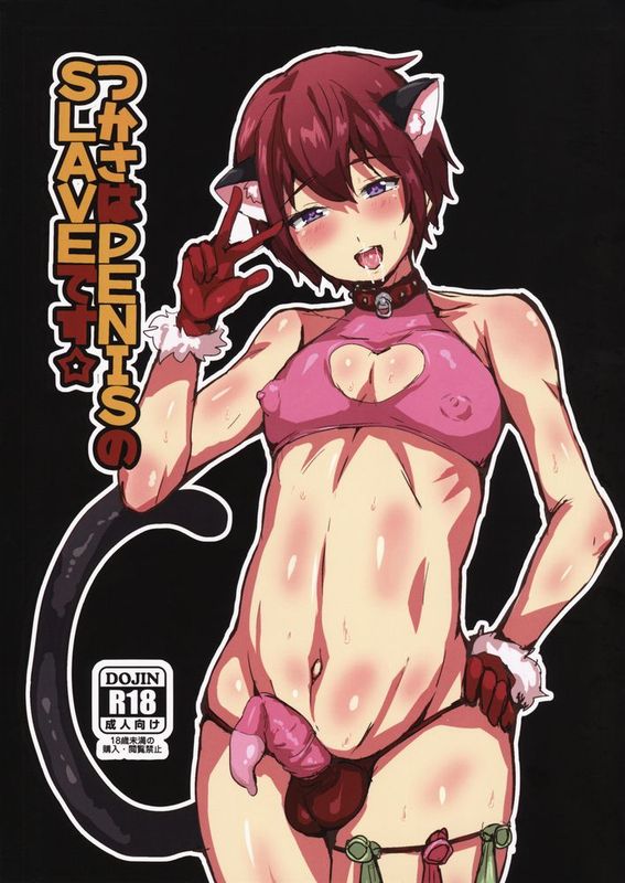 [丹翡只是個人偶L癌細胞個人漢化] (ふたけっと11.5) [兄が猿 (たかし)] つかさはPENISのSLAVEです☆ (あんさんぶるスターズ!)-幻想世界