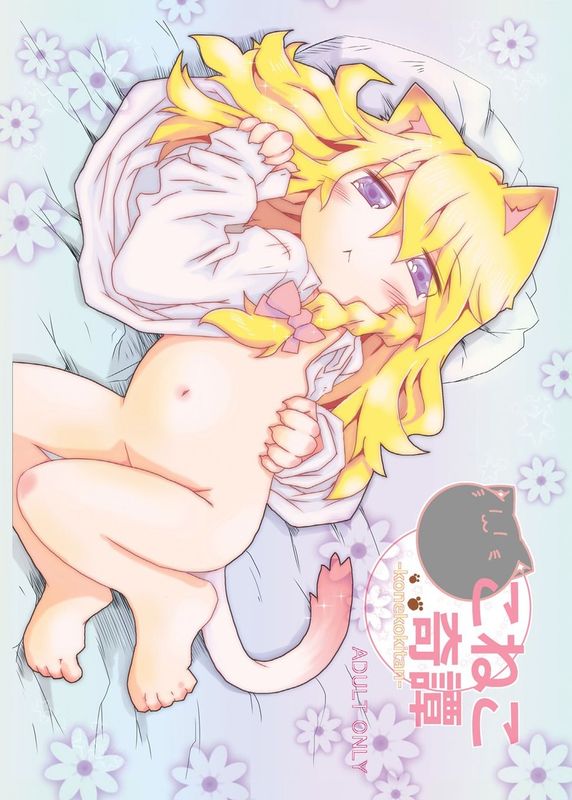 [虹幻工房 (緋良雪リオ)] こねこ奇譚 (東方Project) [中国翻訳] [DL版]-幻想世界