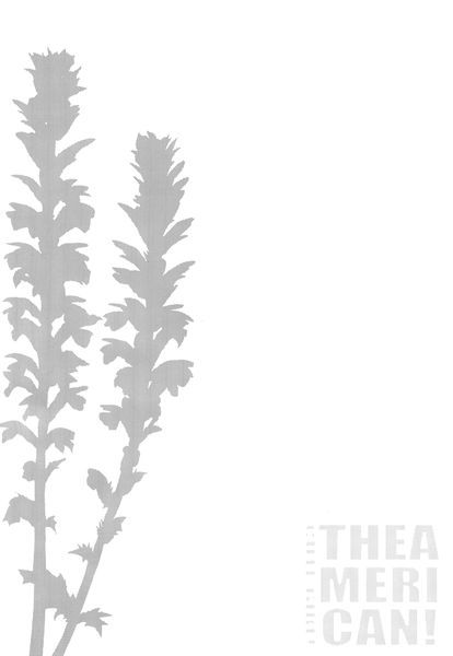 [無毒汉化组](C90) [odin (黒川IZUMI)] CUTE GIRL! THE AMERICAN! (艦隊これくしょん -艦これ-)-幻想世界