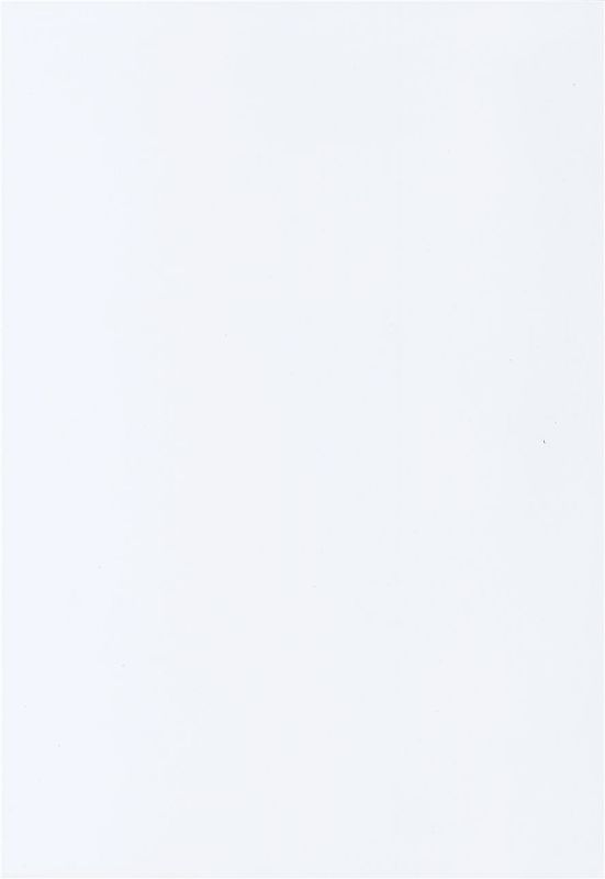 罵られながら足で踏まれたい本-幻想世界