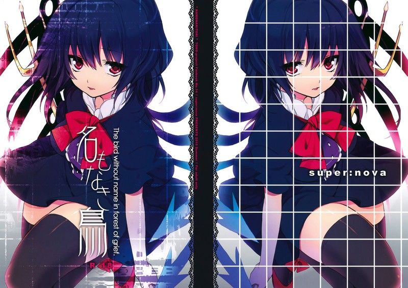 (C78) [スペルノーヴァ (雪町灯之助)] 名もなき鳥 (東方Project) [中国翻訳]-幻想世界