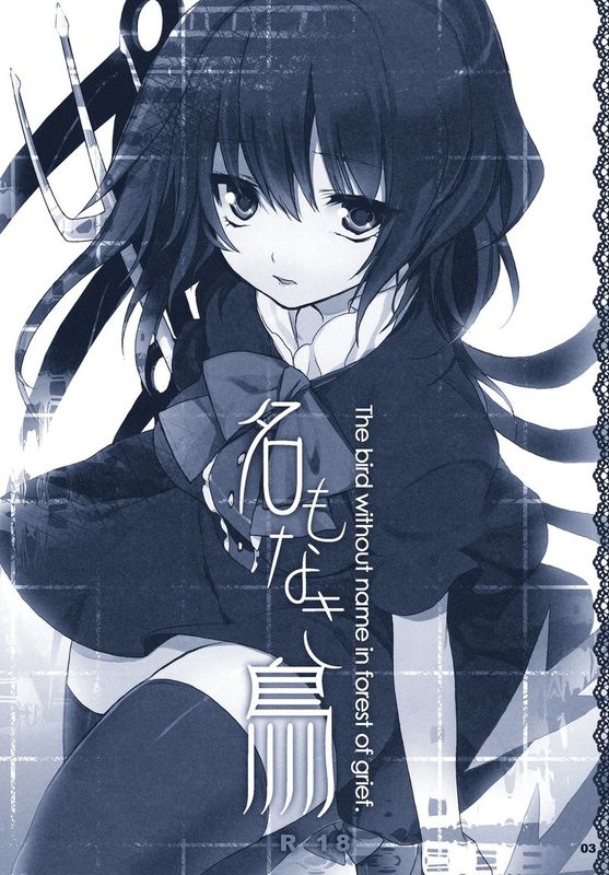 (C78) [スペルノーヴァ (雪町灯之助)] 名もなき鳥 (東方Project) [中国翻訳]-幻想世界