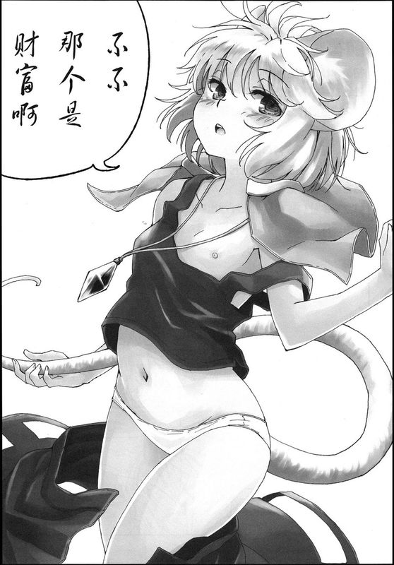 (C82) [Animal Passion (茹でピー)] 探し物はナンですか (東方Project) [中国翻訳]-幻想世界