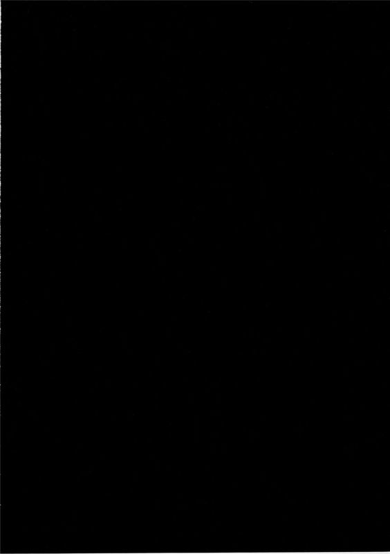 甲鉄城の夜 (甲鉄城のカバネリ)-幻想世界