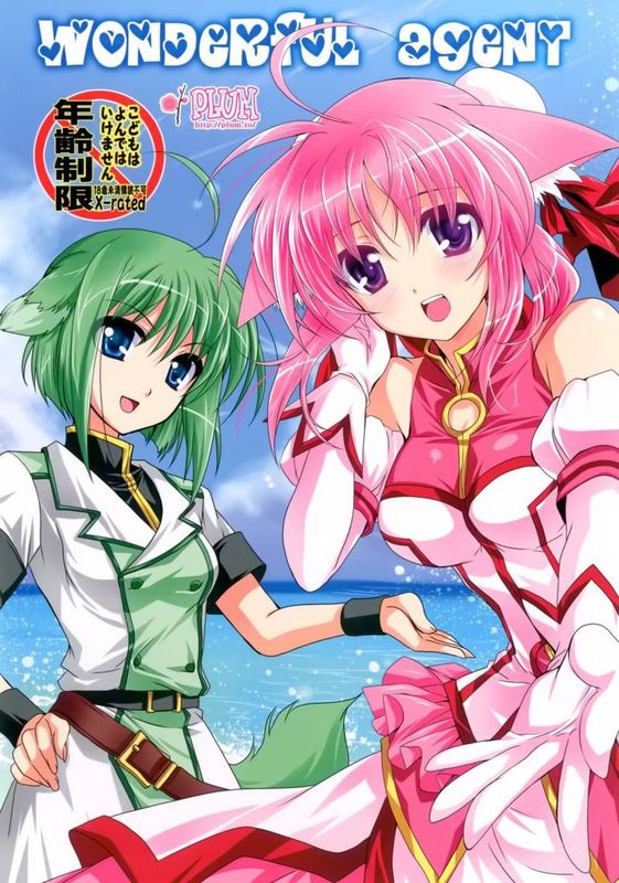 Wonderful Agent-幻想世界