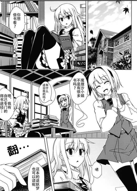 女剣士と魔女の本 (東方Project)-幻想世界