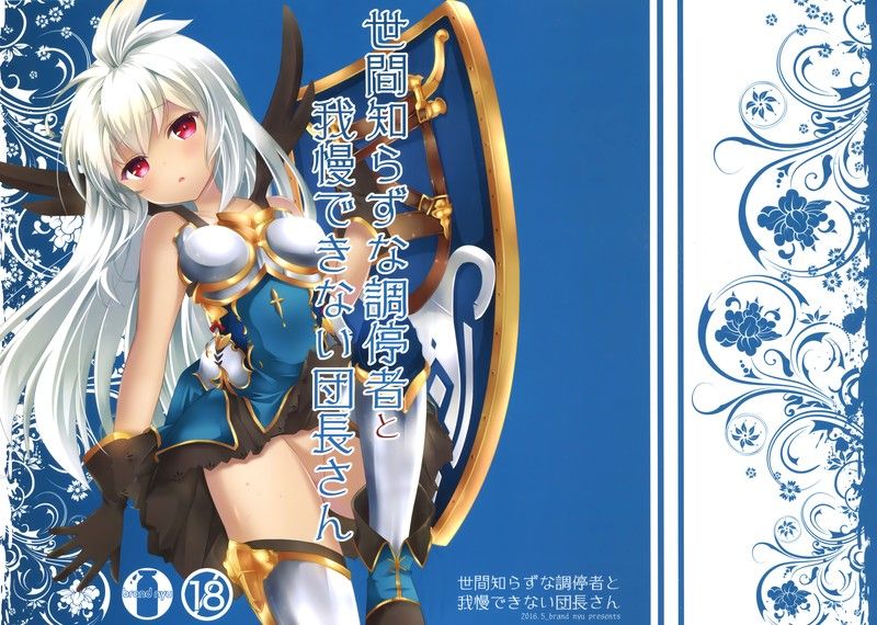 世間知らずな調停者と我慢できない団長さん-幻想世界