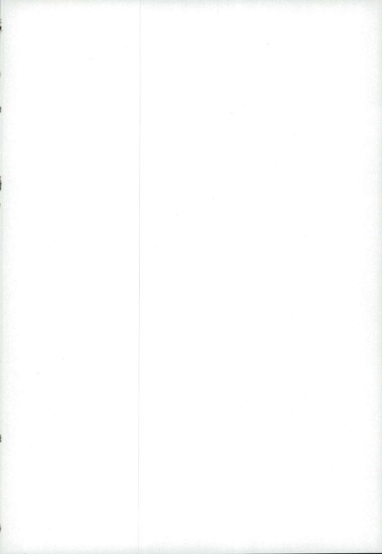 おとなのおもちゃで遊んでみた (VOCALOID)-幻想世界