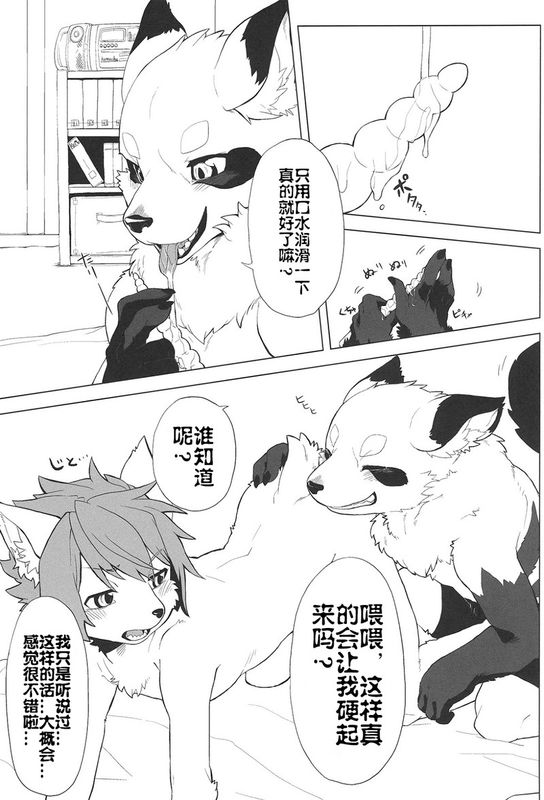 ケモちゃ!-幻想世界