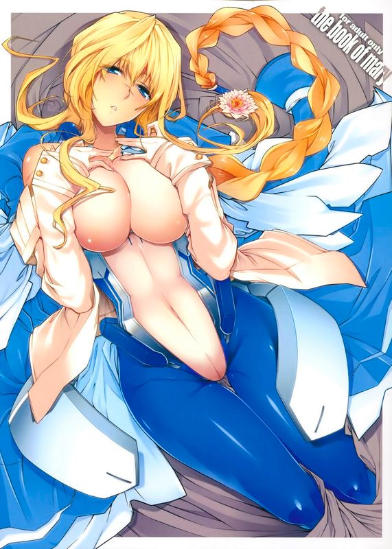 めありのほん (境界線上のホライゾン)-幻想世界