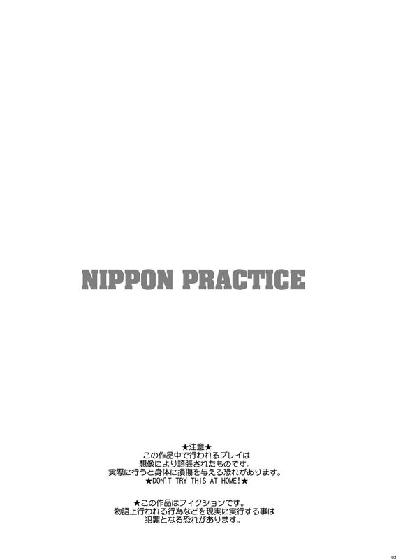 NIPPON PRACTICE (Street Fighter、One Piece、King of Fighters)-幻想世界