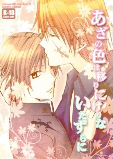 あざの色は移りにけりないたずらに (夏目友人帳)-幻想世界