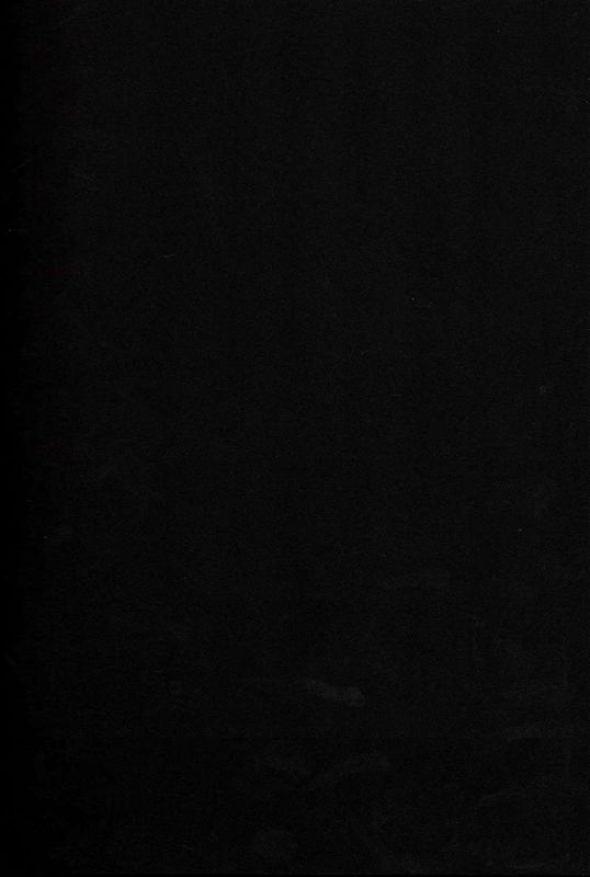 変態司令官には困ったものだよ-幻想世界