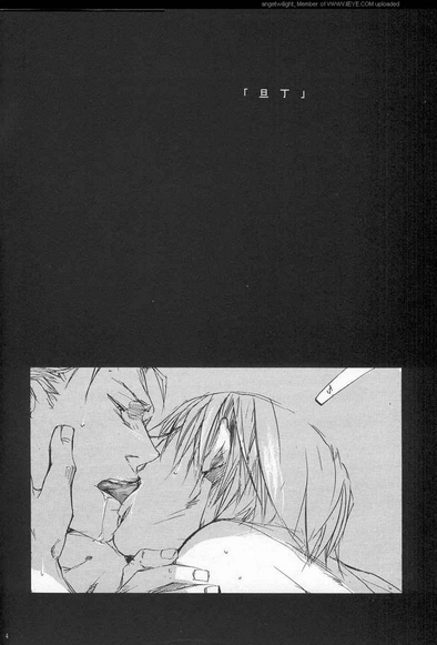 鬼泣DMC3：但丁×維吉爾Neither Fish nor Flesh-幻想世界